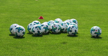 九游官网入口地址-德甲俱乐部足球与社会公益结合的品牌创新,德甲合作伙伴