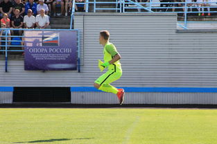 九游娱乐平台-校园体育场馆智能管理与节能技术应用研究,体育场馆智能化设计方案